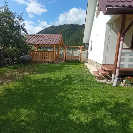 на березові *