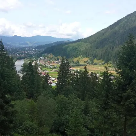 на березові