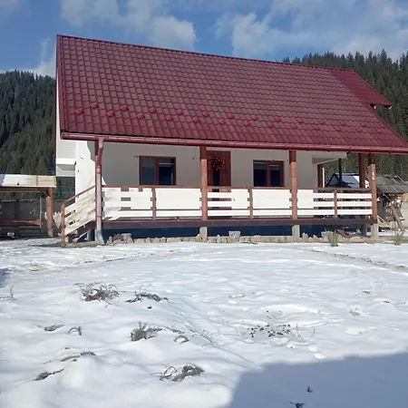 на березові Krivorovnya