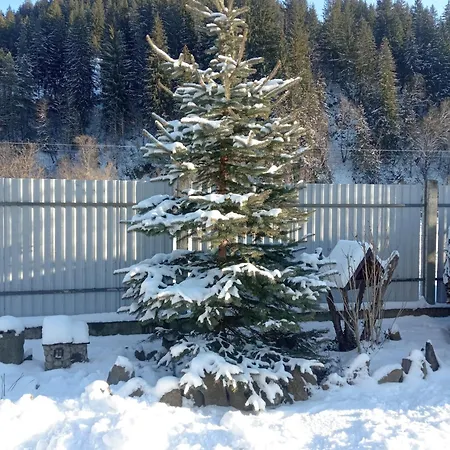 на березові * Krivorovnya