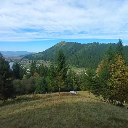 на березові Krivorovnya