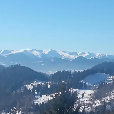 на березові Krivorovnya