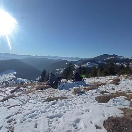 на березові Vakantiehuis