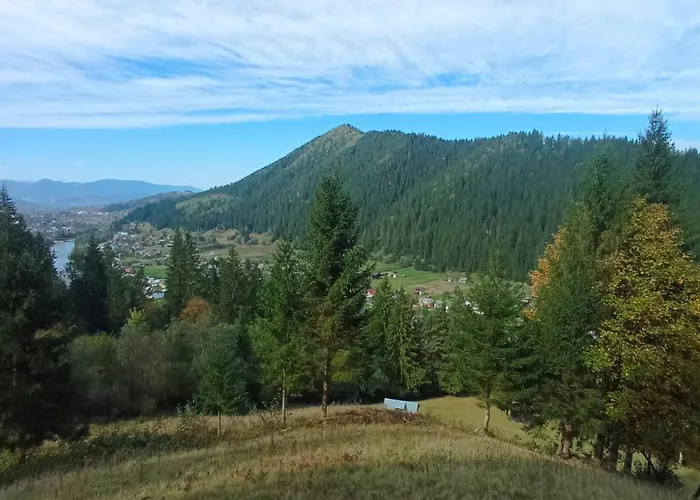 на березові Krivorovnya