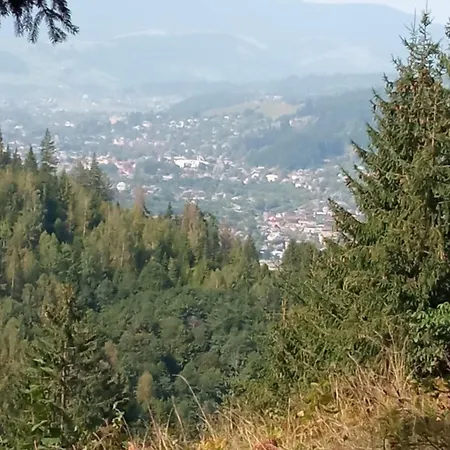 Дом отдыха на березові *