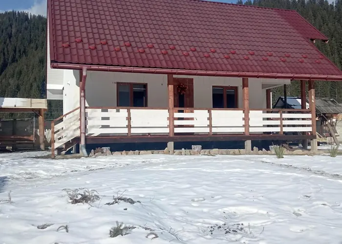 на березові Krivorovnya