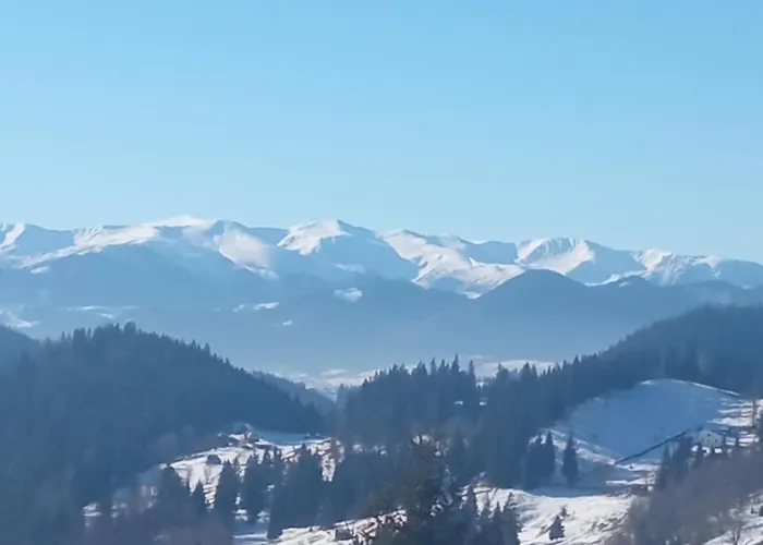 на березові Krivorovnya