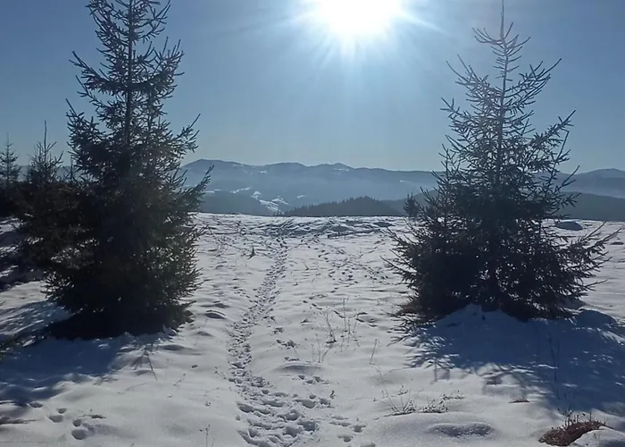 на березові